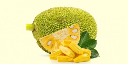 Never Eat These Things After Eating Jackfruit : कटहल खाने के बाद कभी ना खाएं ये चीजें, सेहत को नुकसान हो सकता है