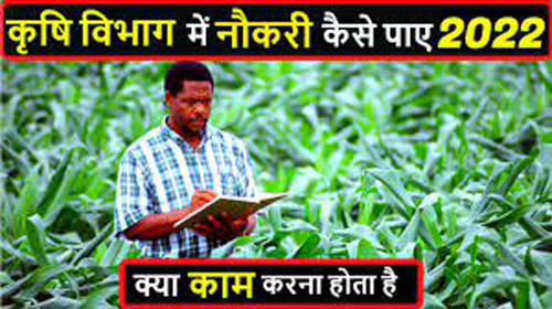 Job Vacancies In Agriculture : कृषि विभाग के 400 पदों पर होगी नियुक्ति