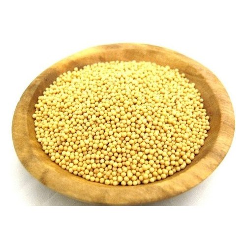 Benefits of White Mustard : सफेद सरसों हमारी सेहत के लिए बहुत लाभकारी होती है, जानिए कैसे