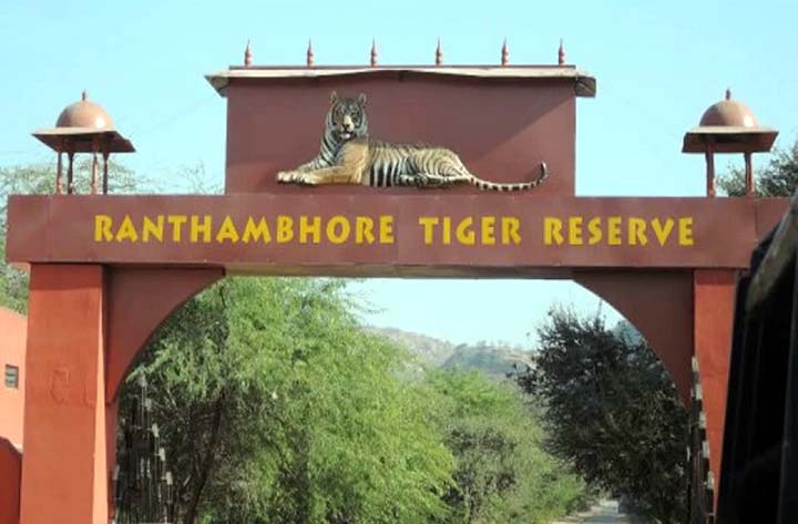 Ranthambore National Park : फ्रांस के दल ने रणथम्भौर में जानी समस्याएं, अब केंद्र सरकार को भेंजेंगे रिपोर्ट