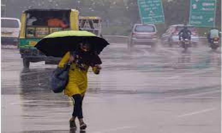 Weather Update: राजस्थान में मौसम ने ली करवट, प्रदेश के 21 जिलों में बारिश का अलर्ट