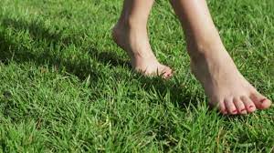 Benefits of walking barefoot: घास में नंगे पैर वॉक करने से मिलते है लाखो फायदे, मेंटल हेल्थ को भी मिलती है राहत