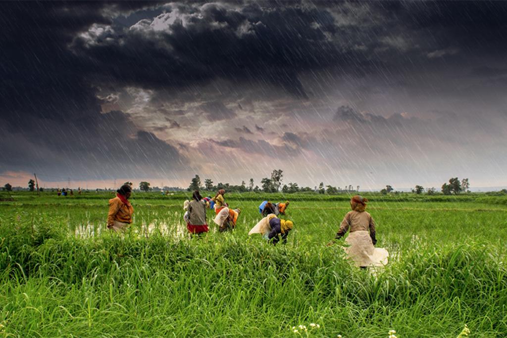 Rajasthan Weather Update: राजस्थान के कई जिलों में छाई रही काली घटाए, हल्की मध्यम की बारिश की गई रिकार्ड