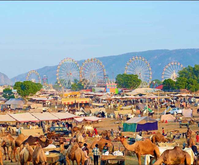 Pushkar Mela 2023 : लगने वाला है पुष्कर मेला, जानें कैसे सबसे आसान रास्ता