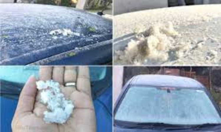 Rajasthan Weather: बढ़ती ठंड के चलते फ्रिज हुआ माउंट आबू, -2 डिग्री पहुंचा तापमान