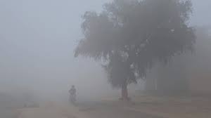 Rajasthan Weather: प्रदेश में ठंडी लहर का कहर, IMD ने जारी किया अलर्ट