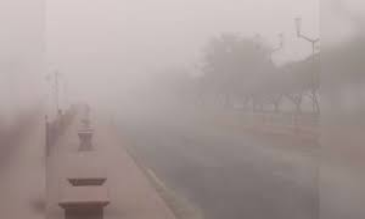 Rajasthan Weather: कड़ाके की ठंड की चपेट में राजस्थान, इन इलाकों में छाया रहेगा कोहरा