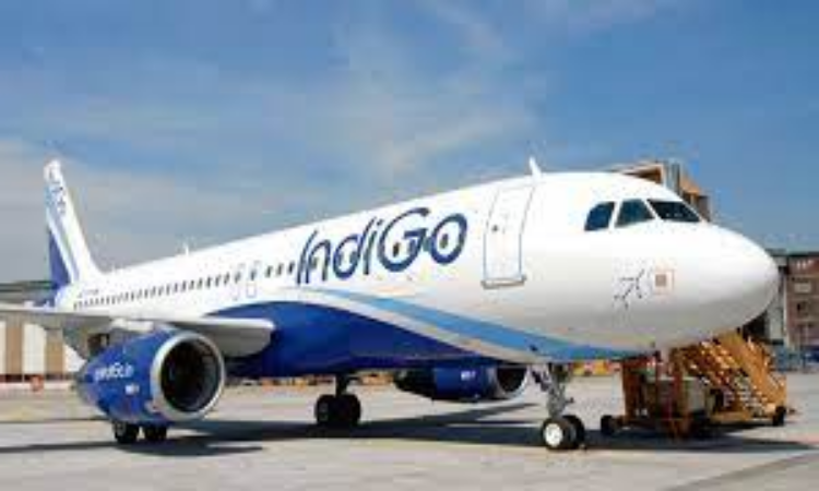 IndiGo Flight Viral Video: जमीन पर यात्रियों के खाना खाने को लेकर DGCA ने की कार्रवाई, Indigo पर लगा इतने करोड़ का जुर्माना