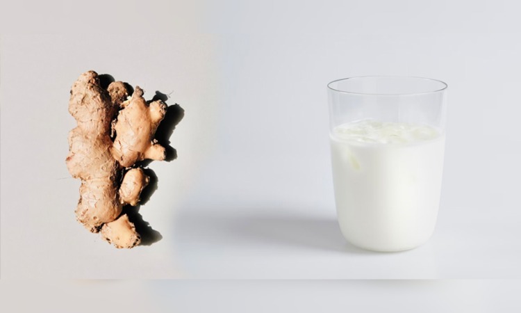 Ginger Milk Benefits: सर्दी में रोजाना पिएं अदरक का दूध, बीमारियां रहेंगी कोसो दूर