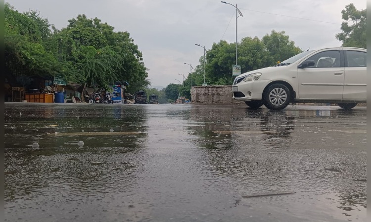 Rajasthan Weather Update: राजस्थान में  सर्दी का असर हुआ कम, 19 फरवरी से बदल सकता है मौसम