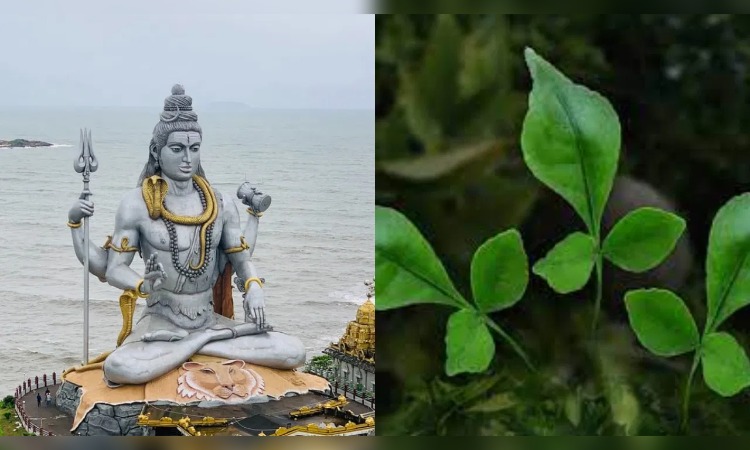 MahaShivratri 2024: सिर्फ बेलपत्र और एक लोटा जल से भी प्रसन्न हो जाते हैं भोलेनाथ, जानें इसके पीछे की पौराणिक कथा