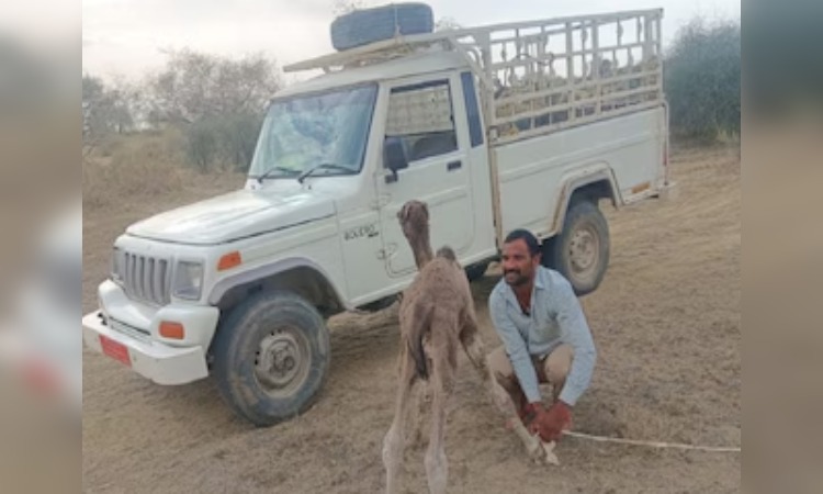 Jaisalmer: दिल को झकझोर देने वाली घटना, मां के शव के पास तीन दिन तक रोता रहा बच्चा