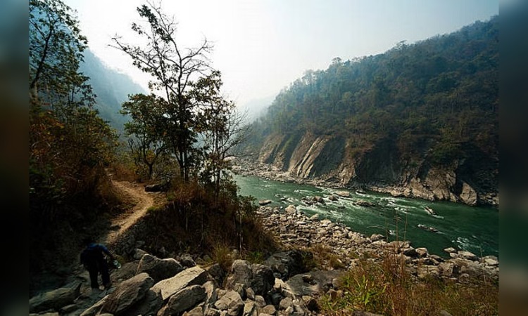 India’s Largest Forest: दुनिया का सबसे खतरनाक जंगल, जहां जाने से बड़े-बड़े सूरमा भी डरते हैं; जानें उसके रहस्य