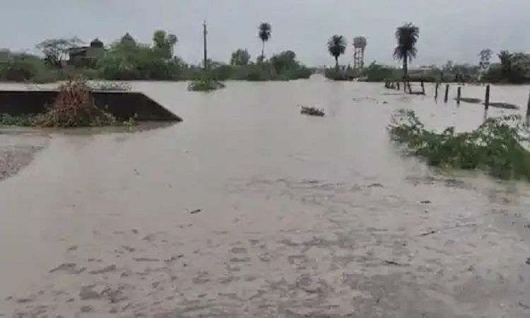 Weather News: राजस्थान में भारी बारिश रहेगी जारी, मौसम विभाग इन जिलों को लेकर जारी की चेतावनी